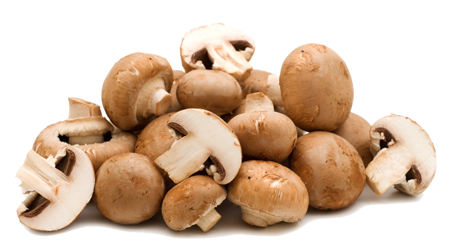 mushrooms.png